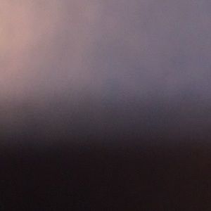 Meet your Posher, Bev